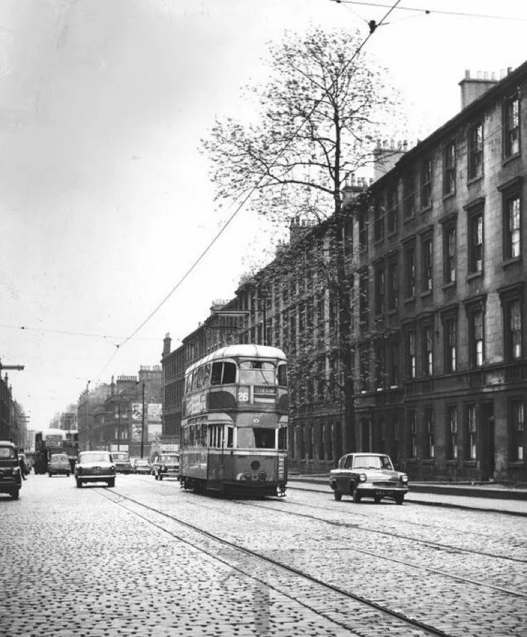 A historical blackandwhite photograph showing a tram passing near the Argyle Street Ash with period cars on the road and the ash tree standing in front of a fourstorey tenement building
