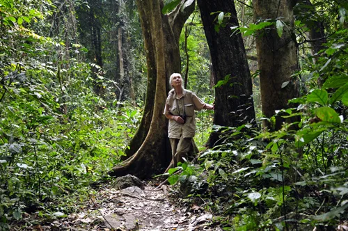 Jane Goodall in the forest at Gombe National Park in July 2010 