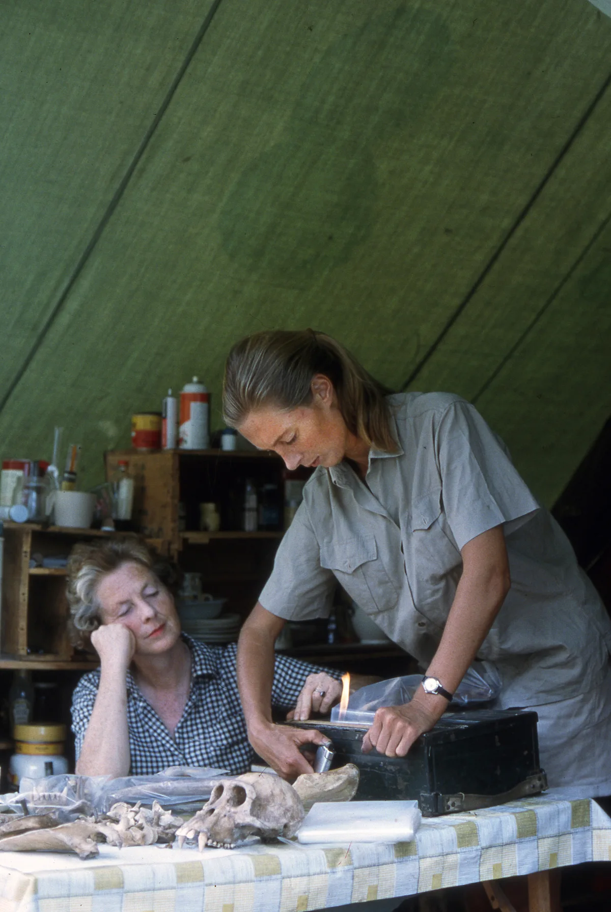 Jane Goodall and her mother Vanne sorting specimens inside a tent at Gombe