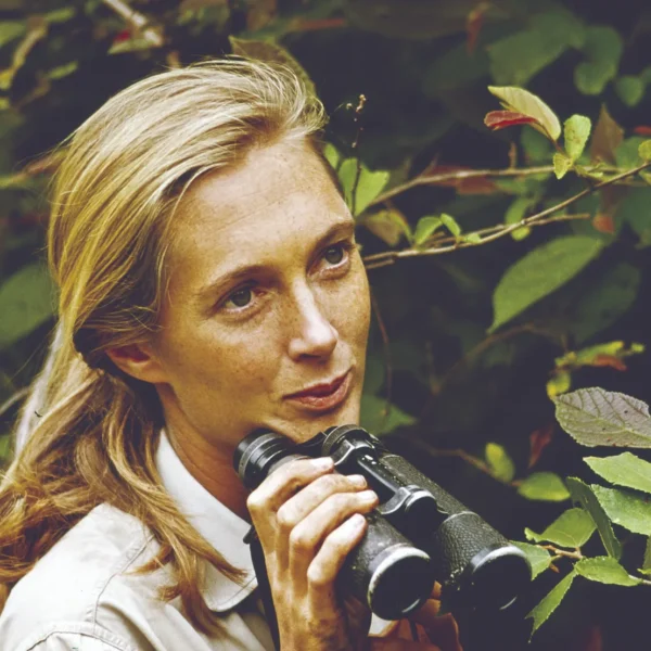 Young Jane Goodall sitting outdoors holding binoculars used for observing chimpanzees.
