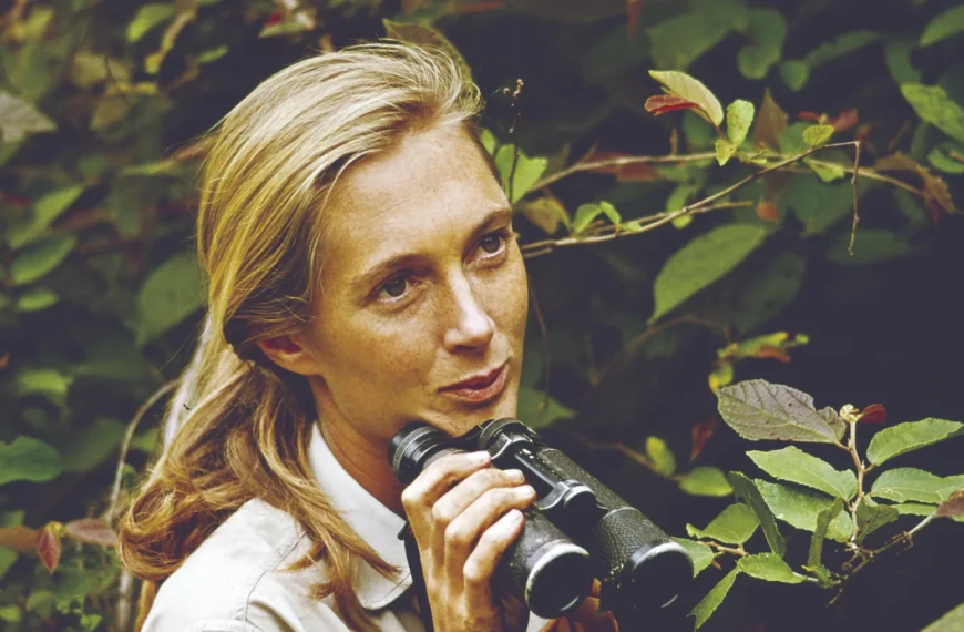 Young Jane Goodall sitting outdoors holding binoculars used for observing chimpanzees.