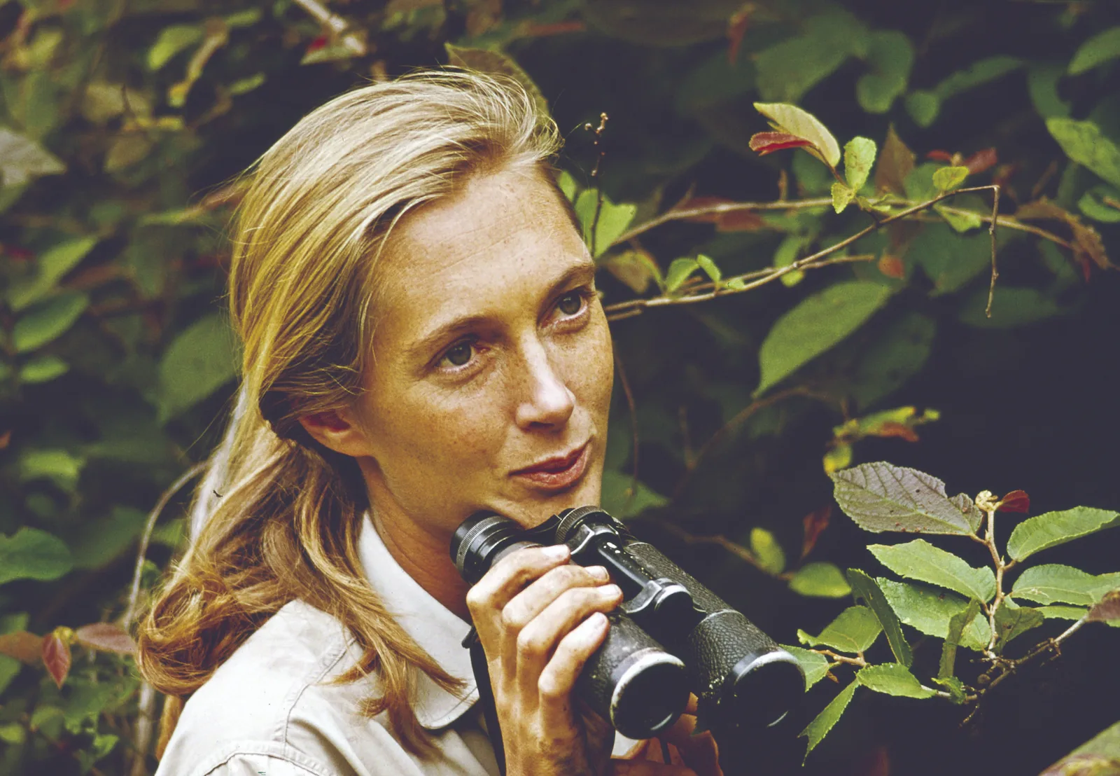 Young Jane Goodall sitting outdoors holding binoculars used for observing chimpanzees.